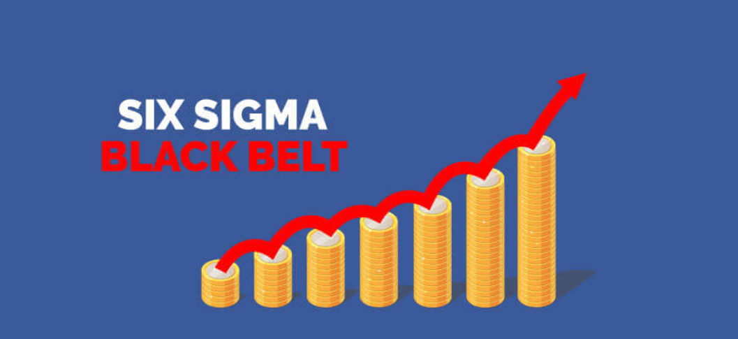 Integrated Six Sigma Green Belt + Black Belt