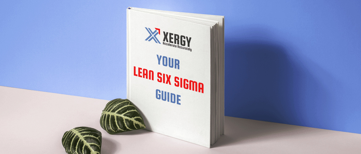 Your Lean Six Sigma Guide